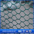 PVC revestido Hexagonal Wire Mesh para uso Farm